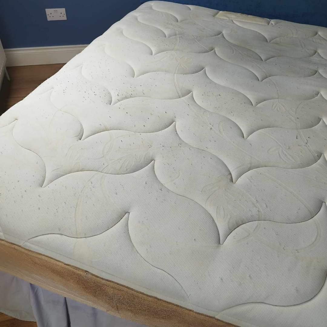 1000009476 – Professional Carpet, Sofa, Mattress & Upholstery Cleaning – FreshStart Furniture Cleaning